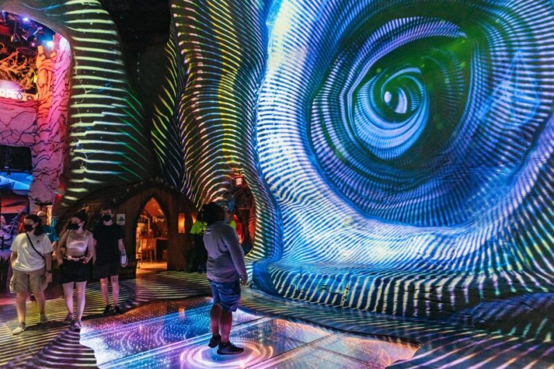 Las Vegas: Meow Wolf Omega Mart Ticket - Key Points