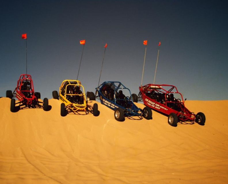 Las Vegas: Mini Baja Dune Buggy Chase Adventure - What the Reviews Say