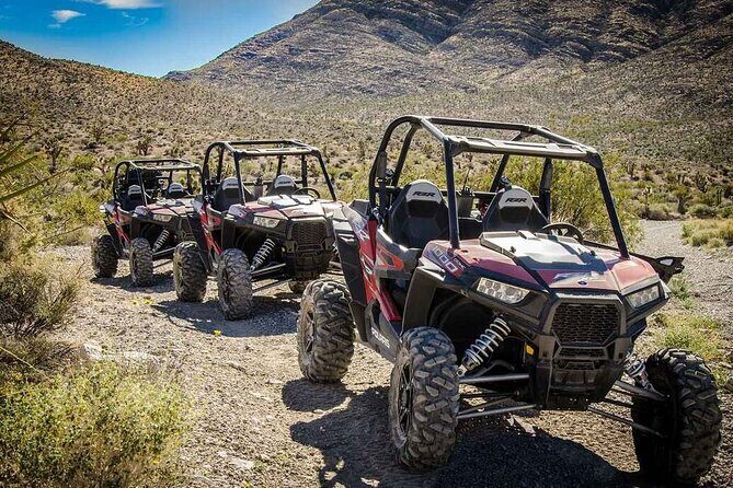 Las Vegas Mini Desert RZR Adventure - Key Points