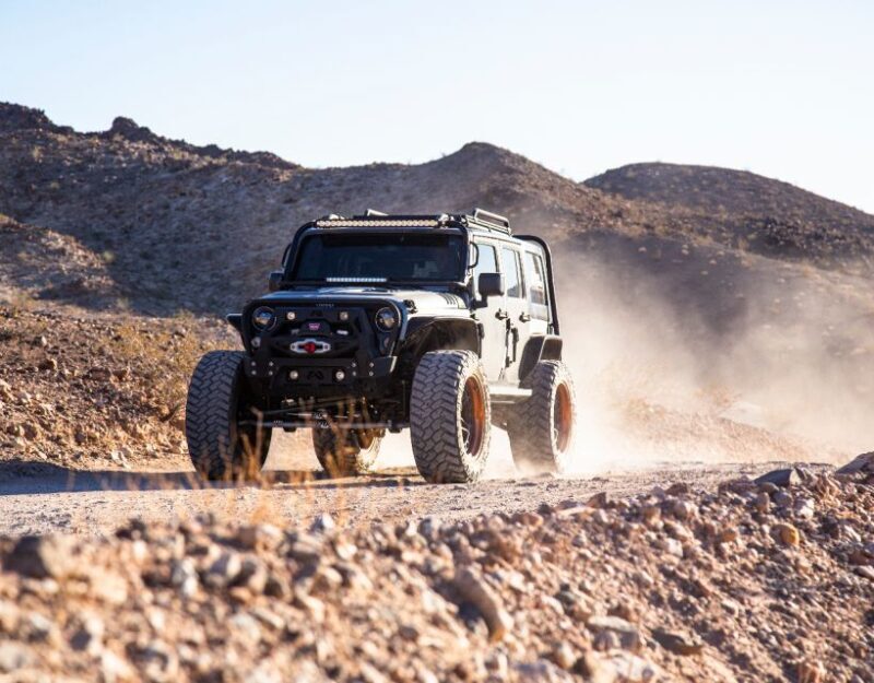 Las Vegas- Offroad Experience Wildlife, Ghost Towns and more - Key Points
