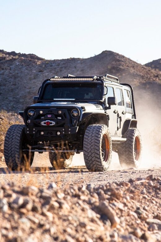 Las Vegas- Offroad Experience Wildlife, Ghost Towns and more - Final Thoughts: Is It for You?