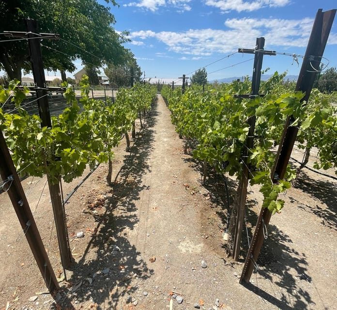 Las Vegas / Pahrump Wine Tasting Tour and snacks - FAQ