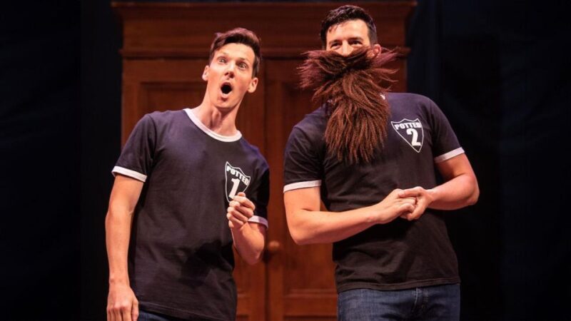 Las Vegas: Potted Potter - The Unauthorized Harry Experience - What Reviewers Say