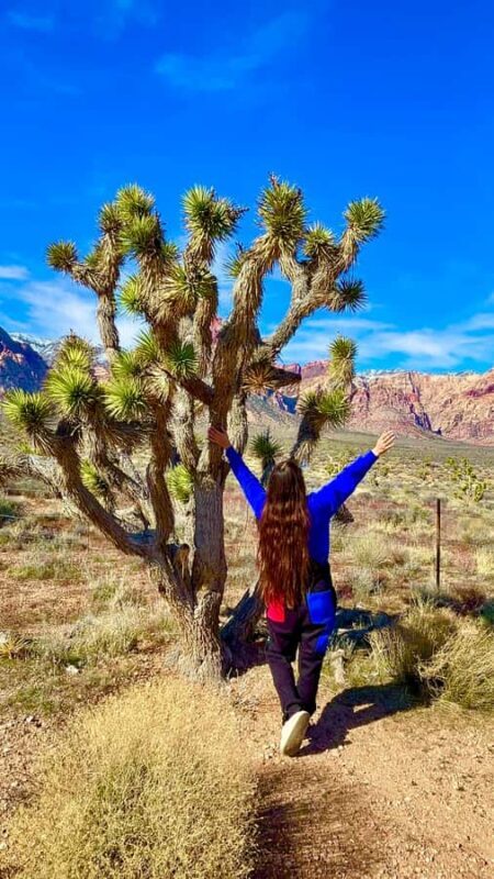 Las Vegas: Private Red Rock Canyon Guided Driving Adventure - What to Expect on the Tour