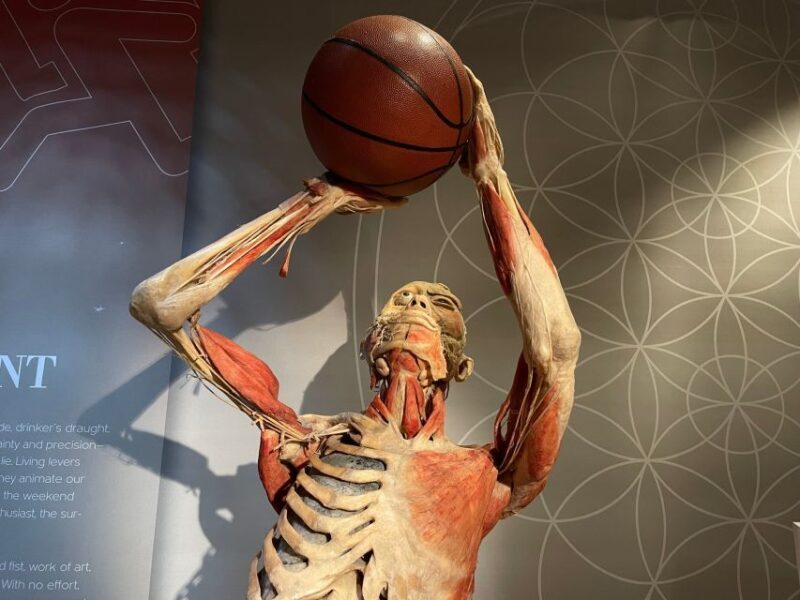 Las Vegas: REAL BODIES at Horseshoe Las Vegas Entry Ticket - Practical Details & Logistics