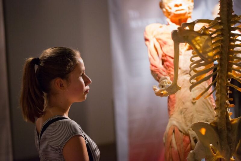 Las Vegas: REAL BODIES at Horseshoe Las Vegas Entry Ticket - Real User Insights & Considerations