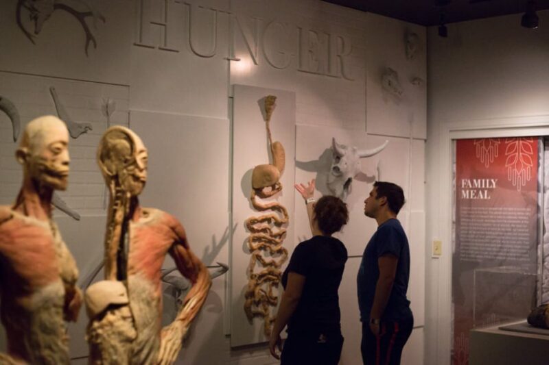 Las Vegas: REAL BODIES at Horseshoe Las Vegas Entry Ticket - Who Should Consider Visiting