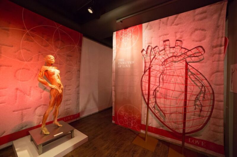 Las Vegas: REAL BODIES at Horseshoe Las Vegas Entry Ticket - Final Thoughts