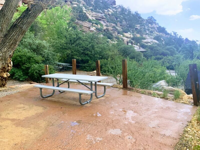 Las Vegas: Red Rock Canyon & Whimsical Cactus Joe's + Lunch - Who’s It Good For?