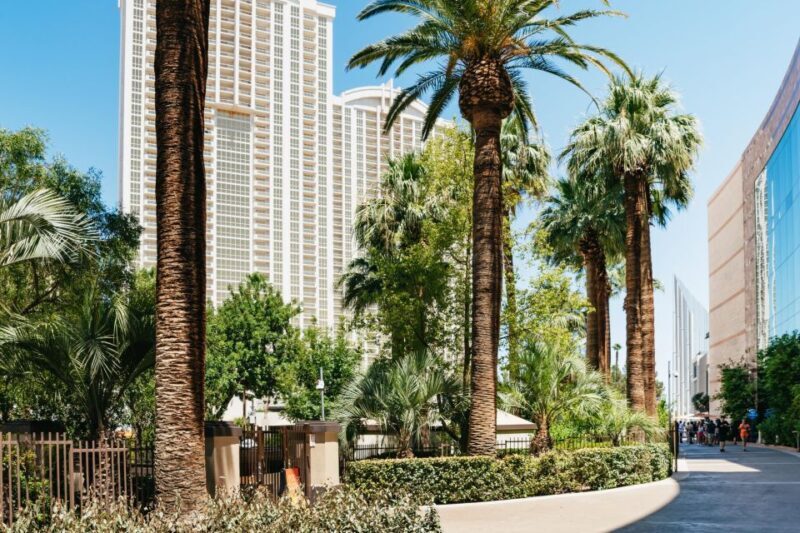 Las Vegas Strip: 3-Stop Pool Party Crawl with Party Bus - Who Should Consider This Tour?