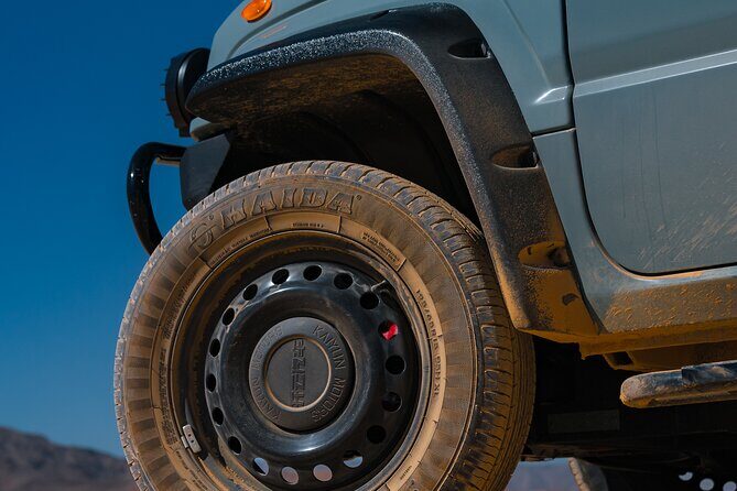 Las Vegas Strip and Downtown Las Vegas Guided Tours - Why This Tour Could Work for You