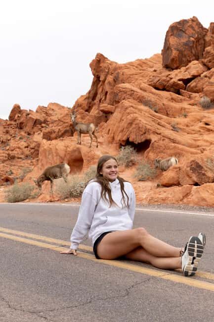 Las Vegas: Valley of Fire and Red Rock Canyon Day Trip - Price and Value for Money