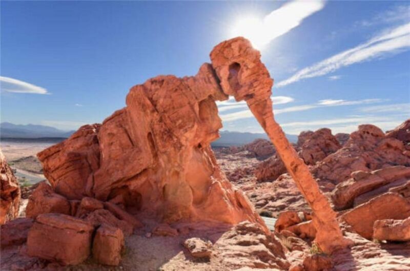 Las Vegas: Valley of Fire Guided Tour in Spanish - Key Points
