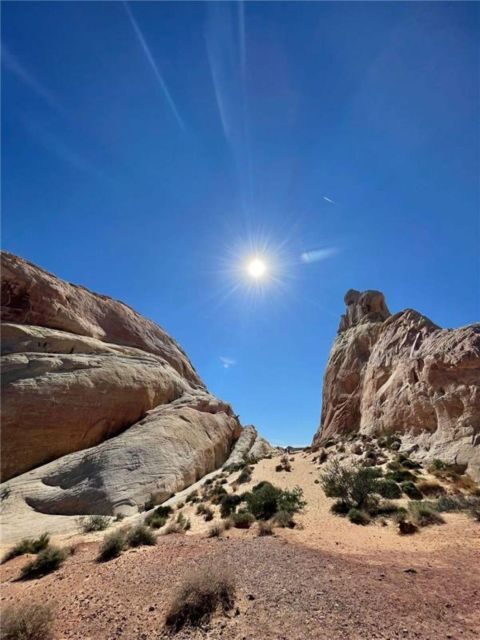 Las Vegas: Valley of Fire Guided Tour in Spanish - Who Will Love This Tour?