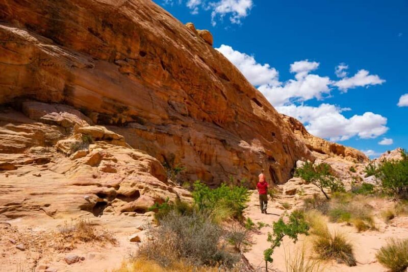 Las Vegas: Valley of Fire Half-Day Guided Hike with Pickup - Why You Might Love This Tour