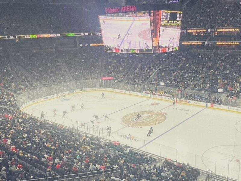 Las Vegas: Vegas Golden Knights Ice Hockey Game Ticket - Who Is This Experience Best For?
