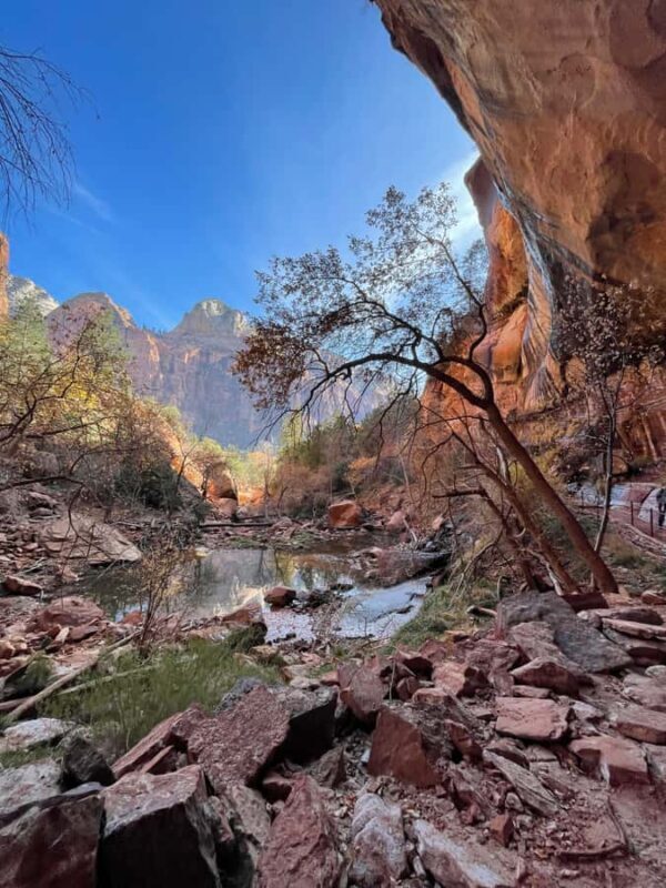 Las Vegas: VIP Guided Photography & Hiking Tour of Zion NP - FAQ