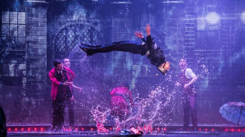 Las Vegas: WOW - The Vegas Spectacular at Rio Hotel & Casino - Who Is This Show Best For?