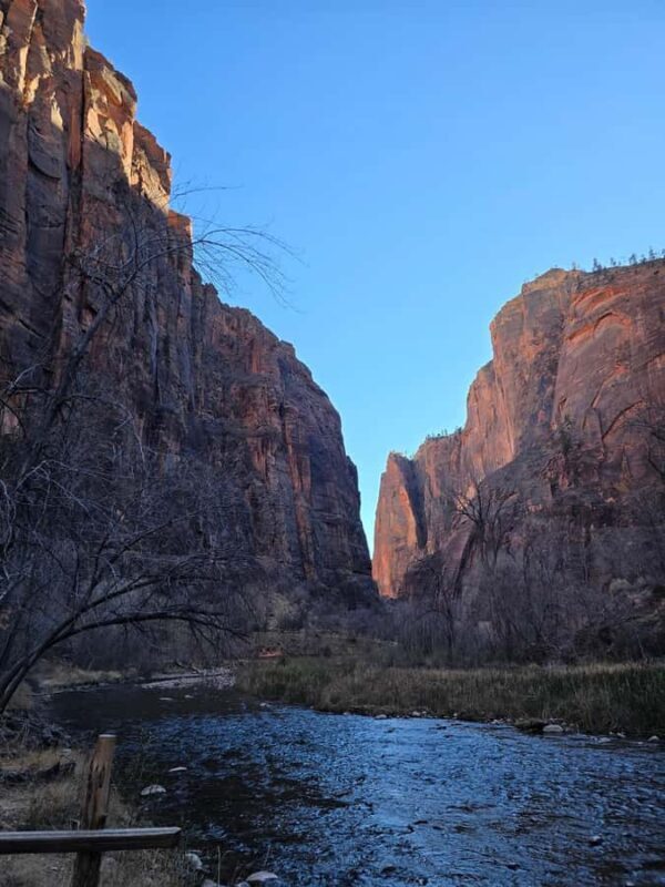 Las Vegas: Zion National Park Group Tour with Lunch - Is It Worth It?