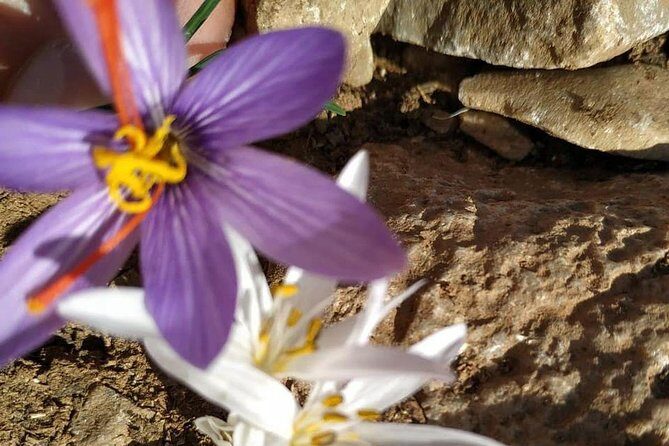 Lasithi Plateau Traditional Vilages - What’s Included and What to Keep in Mind