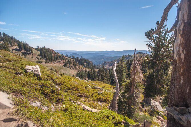 Lassen Volcanic National Park Self-Guided Audio Driving Tour - Who Is This Tour Best For?