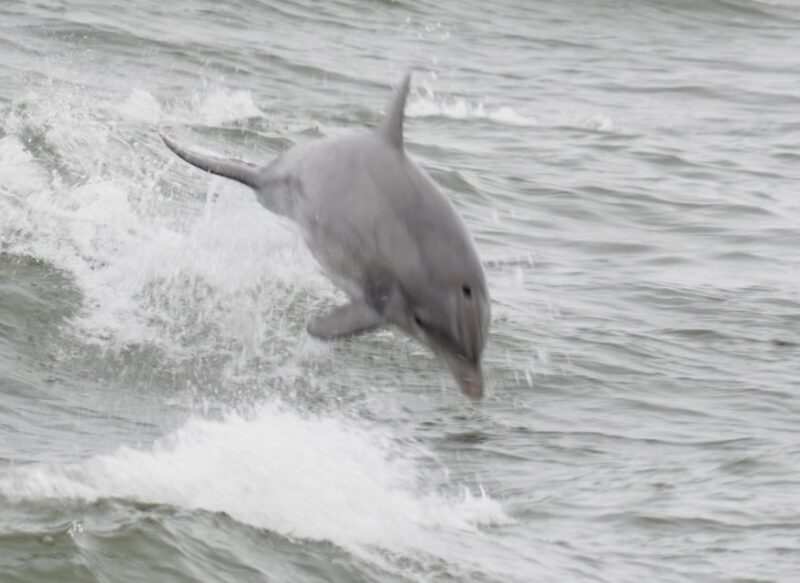 Late Riser Fishing - Key Points