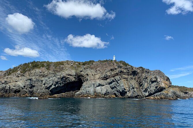 Late Season Puffin & Scenic Coastal Cruise - What to Expect: The Itinerary