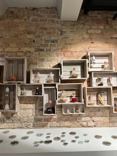 Latvian Brewery Visit & 5 Beer tasting - What You Can Expect on the Tour