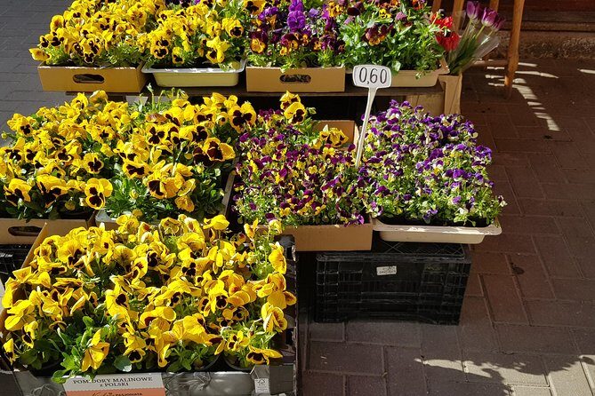 Latvian food tasting tour at Riga Central market - Final Thoughts