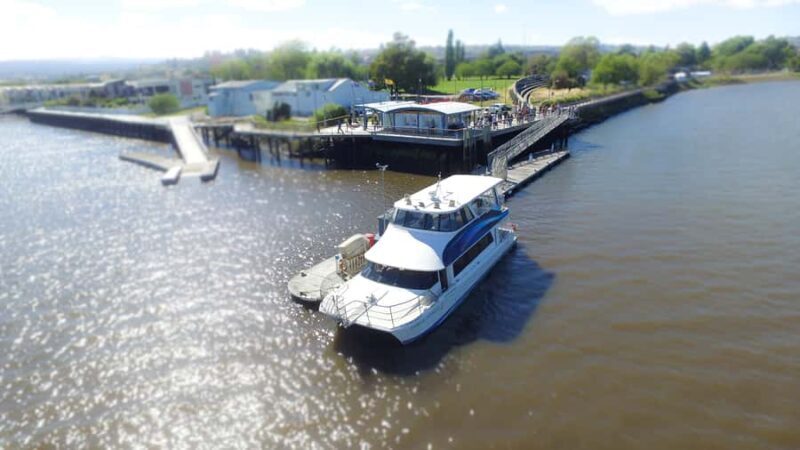 Launceston: 2.5-Hour Afternoon Discovery Cruise - Authentic Insights from Reviewers