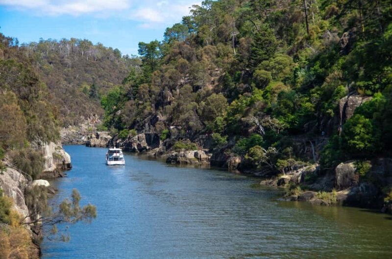 Launceston: 4-Hour Batman Bridge Luncheon Cruise - Accessibility and Practicalities