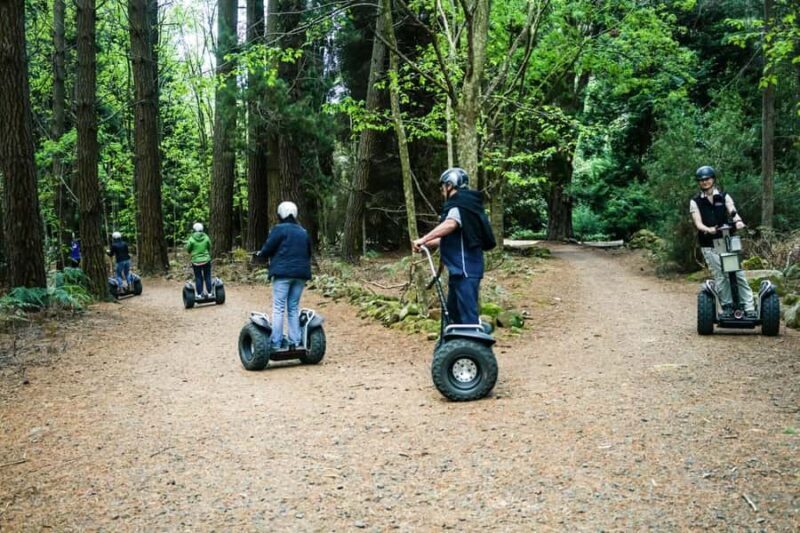 Launceston: Hollybank Forest Guided Segway Tour with Photos - Key Points