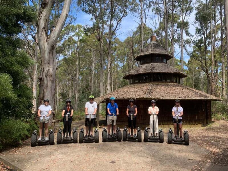 Launceston: Hollybank Forest Guided Segway Tour with Photos - What to Expect on the Hollybank Forest Segway Tour