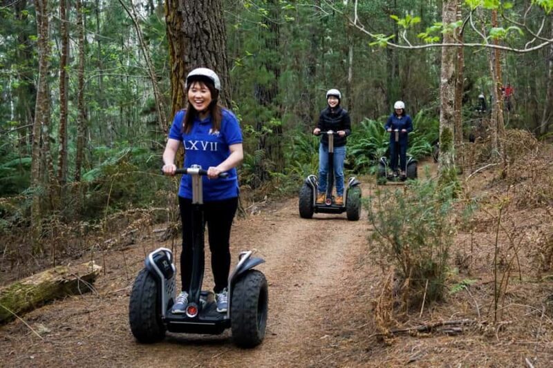 Launceston: Hollybank Forest Guided Segway Tour with Photos - The Drawbacks