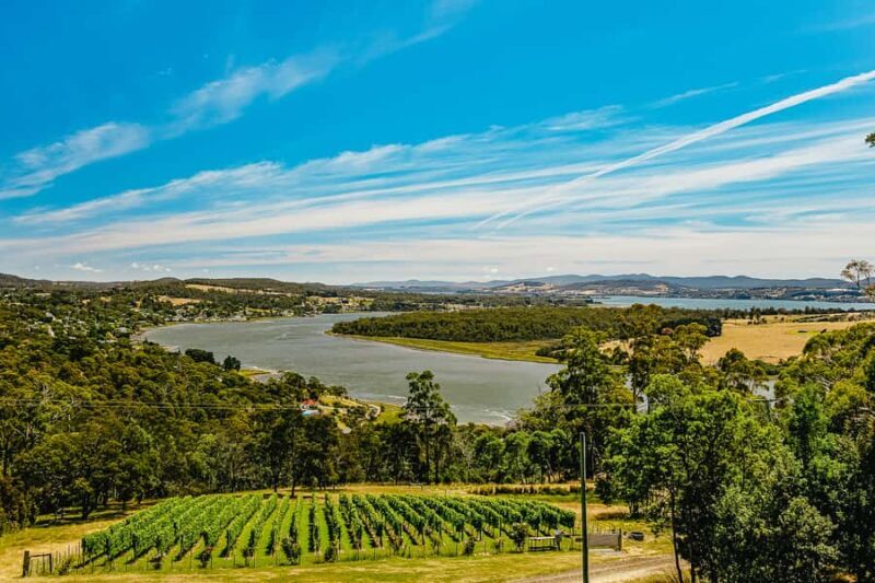 Launceston: Tamar Valley Wine Tour with Lunch - The Itinerary in Detail