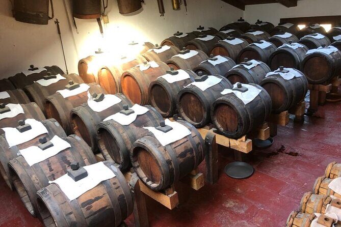 Laura's Private Parma Food Tour with Pick Up (no bus) - Final Thoughts