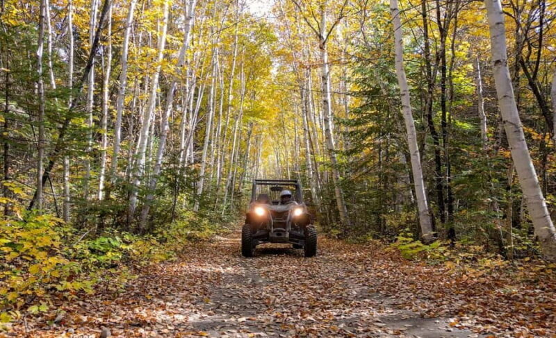 Laurentians: guided buggy tour - What This Tour Offers
