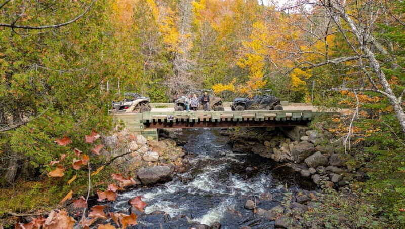 Laurentians: guided buggy tour - The Experience: What Stands Out