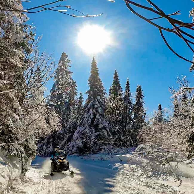 Laurentians: Snowmobile Guided Tour - The Scenic Highlights