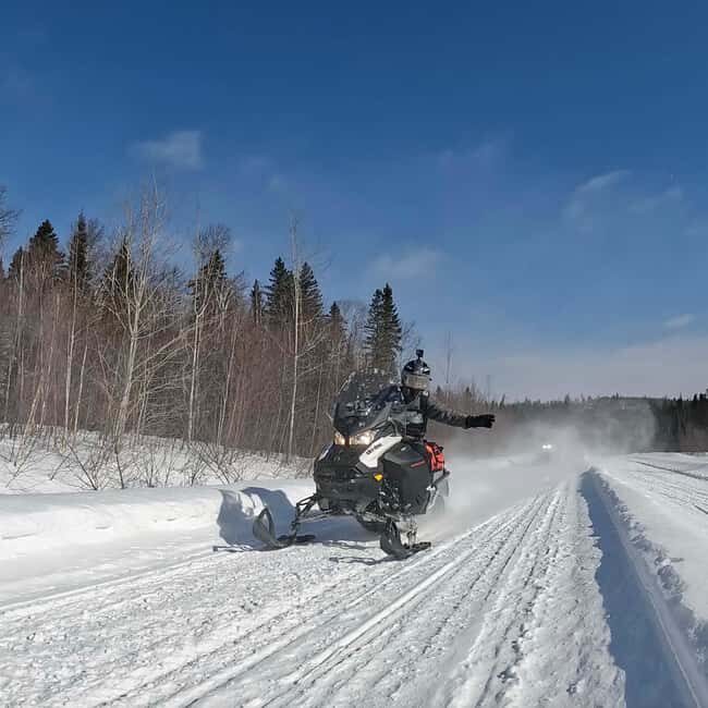 Laurentians: Snowmobile Guided Tour - Who Is This Tour Best For?