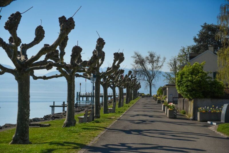 Lausanne, Montreux and Chillon: Private Trip from Geneva - FAQs