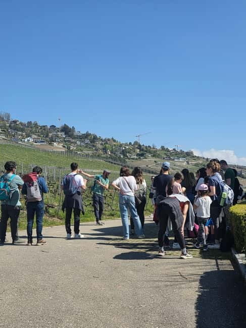 Lausanne: Walking Tour with Chocolate Tastings & Metro - FAQs