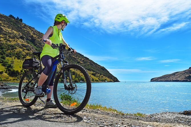 Lava Loop- Guided electric mountain bike tour in Akaroa - Who Will Love This Tour?