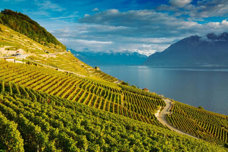 Lavaux Wine and Vineyard Experience with Boat Cruise - Key Points