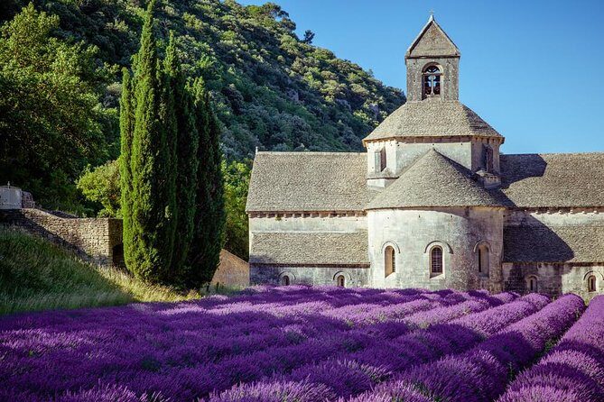Lavender Beauty Small Group Half Day Tour from Avignon - Why Consider the Lavender Beauty Tour?