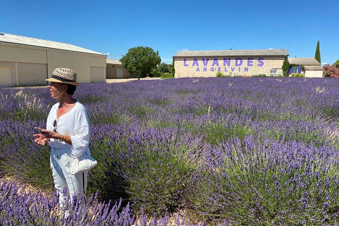 Lavender Discovery Private Tour in Provence - Key Points