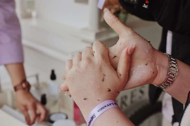 Lavender Experience Valle de Guadalupe - Guided Field Tour - FAQ