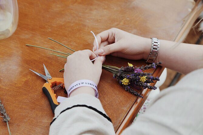 Lavender Field Guided Tour - Final Thoughts