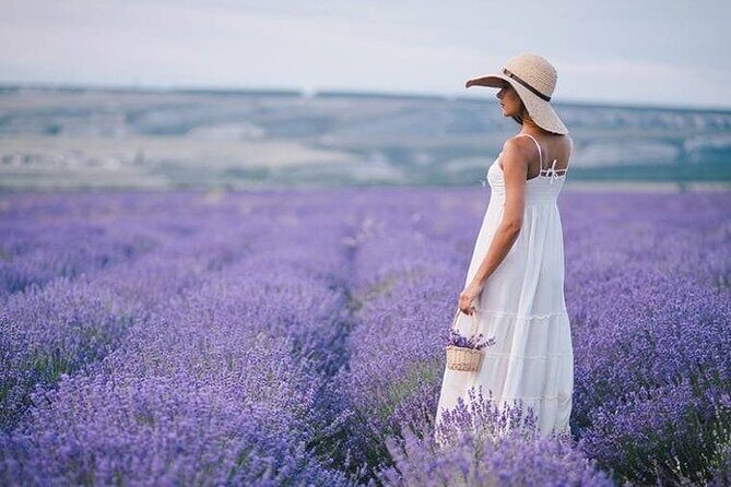 Lavender Fields Full Day Private Tour From Marseille - Key Points