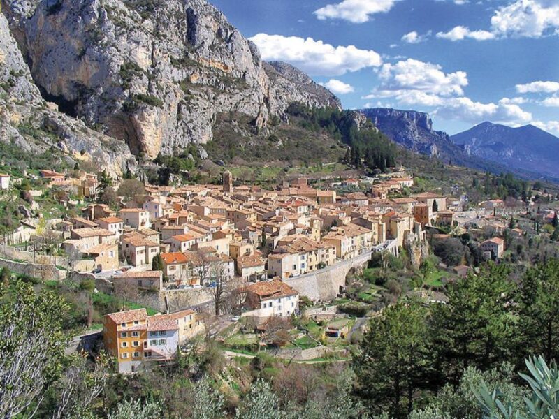 Lavender Fields Tour - Lavender Fields Tour Review: A Taste of Provence’s Best